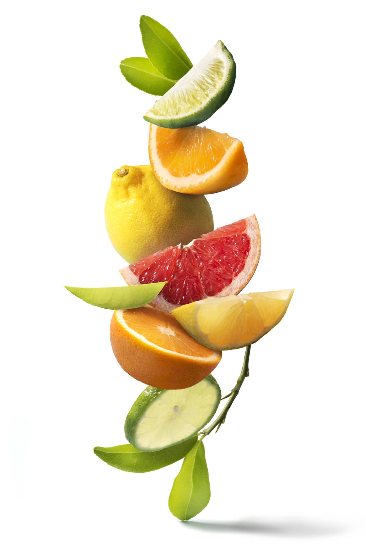 Assorted citrus fruits still life on white background. Close up view.