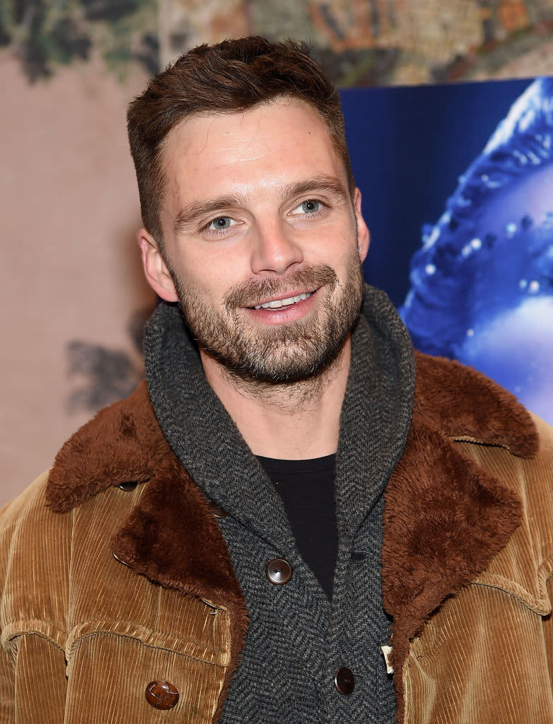 NEW YORK, NY - DECEMBER 13:  Sebastian Stan attends the "Vox Lux" New York Screening at the Whitby Hotel on December 13, 2018 in New York City.  (Photo by Jamie McCarthy/Getty Images)