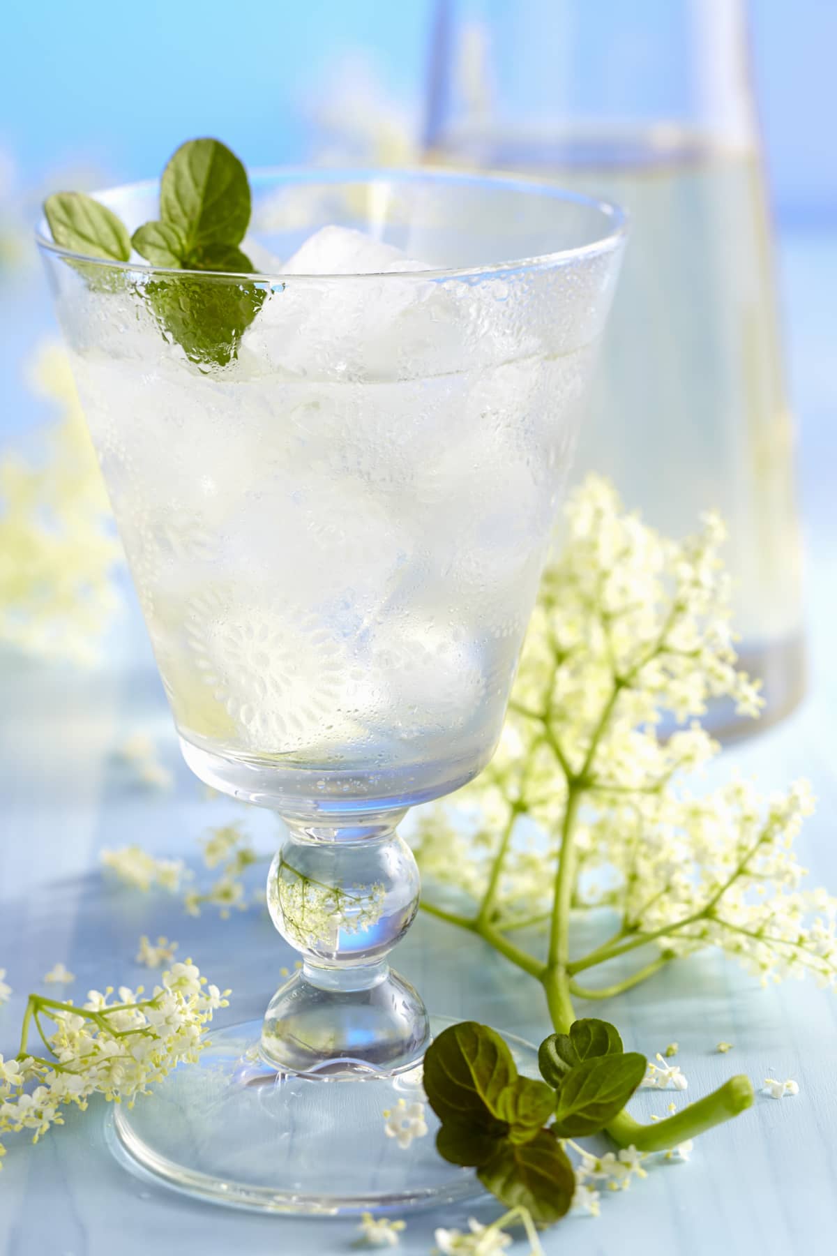 Clear elderflower cocktail with mint garnish