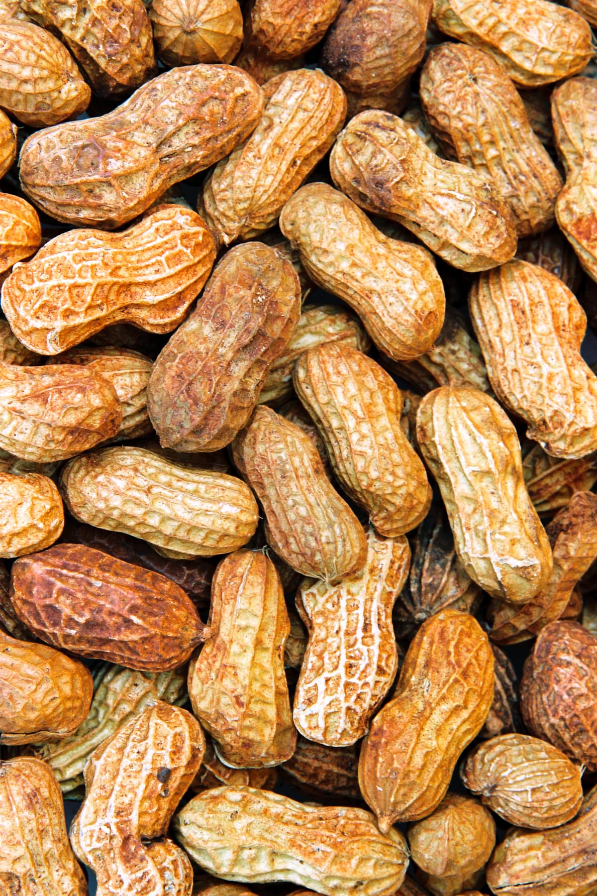 Close-up of roasted peanuts filling the frame