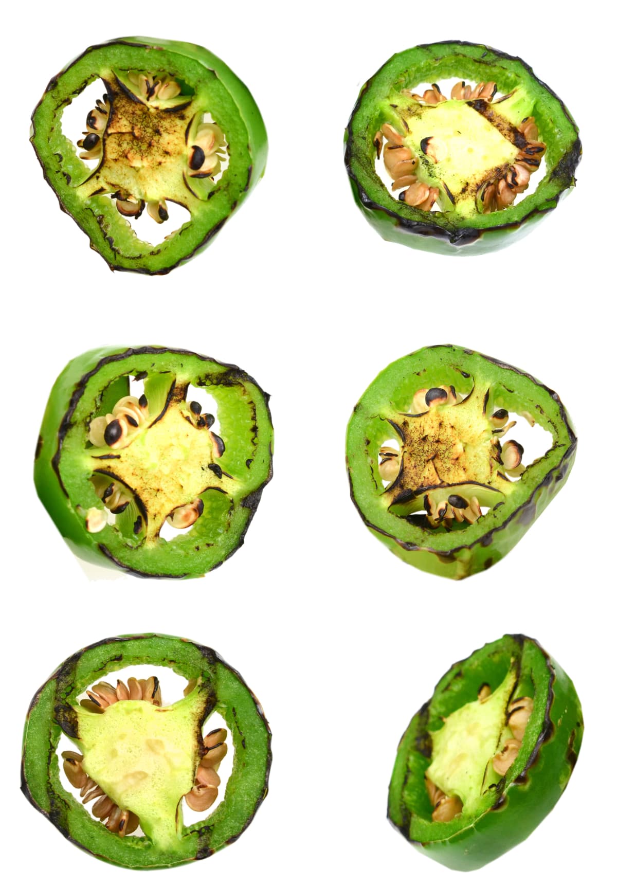 Grilled slices of jalapeno pepper isolate with clipping path