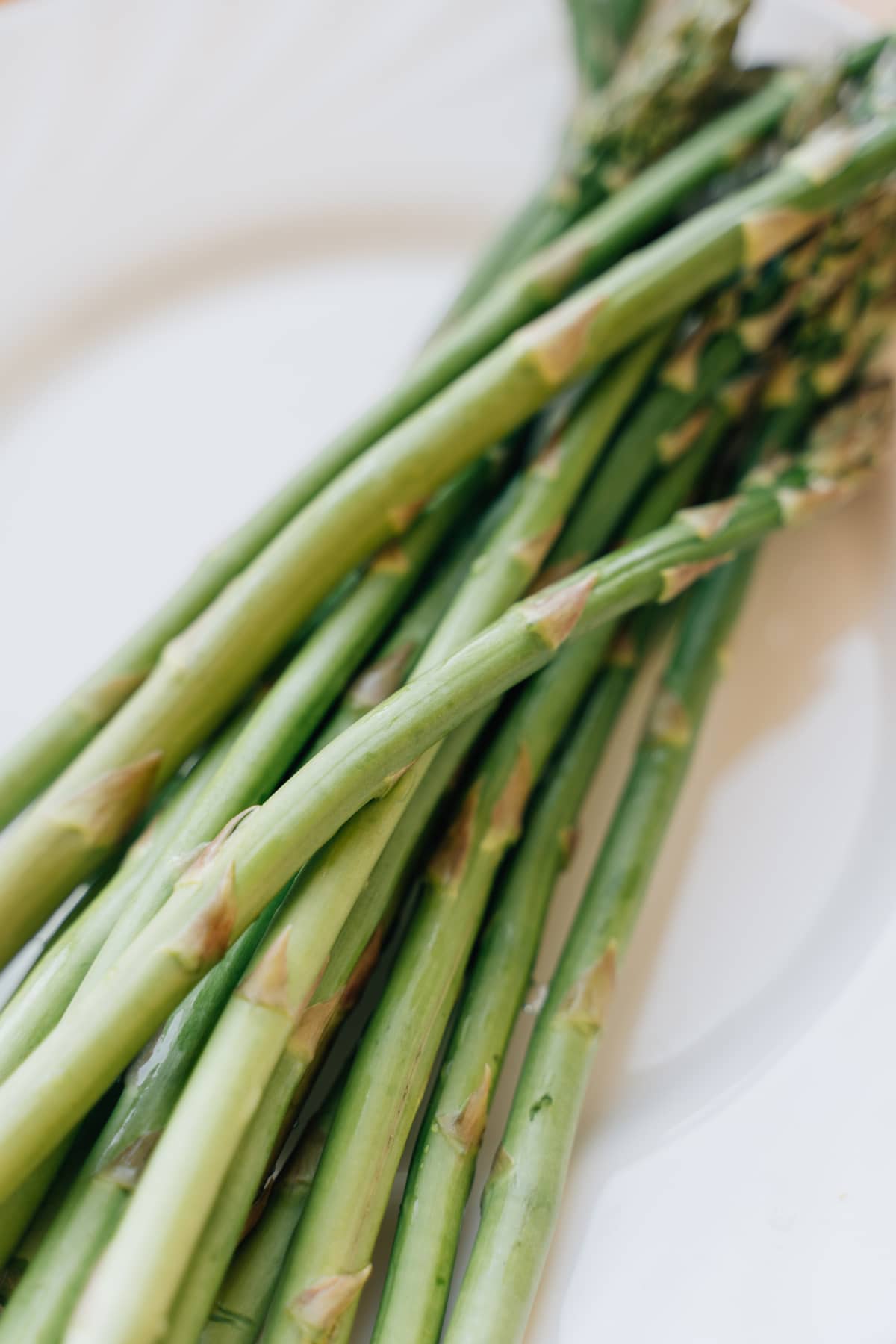 Asparagus on a white plate