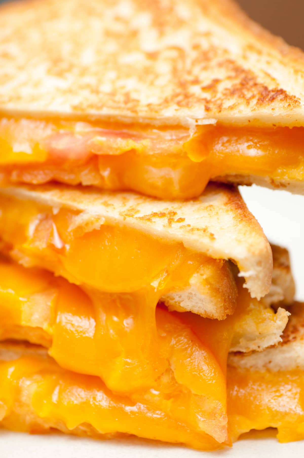Close-up of a grilled cheese sandwich