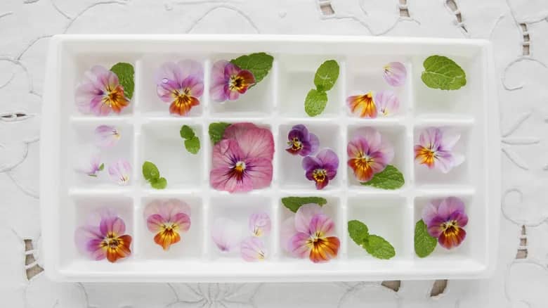 Zen Garden Cocktail with Edible Flower Ice Cubes
