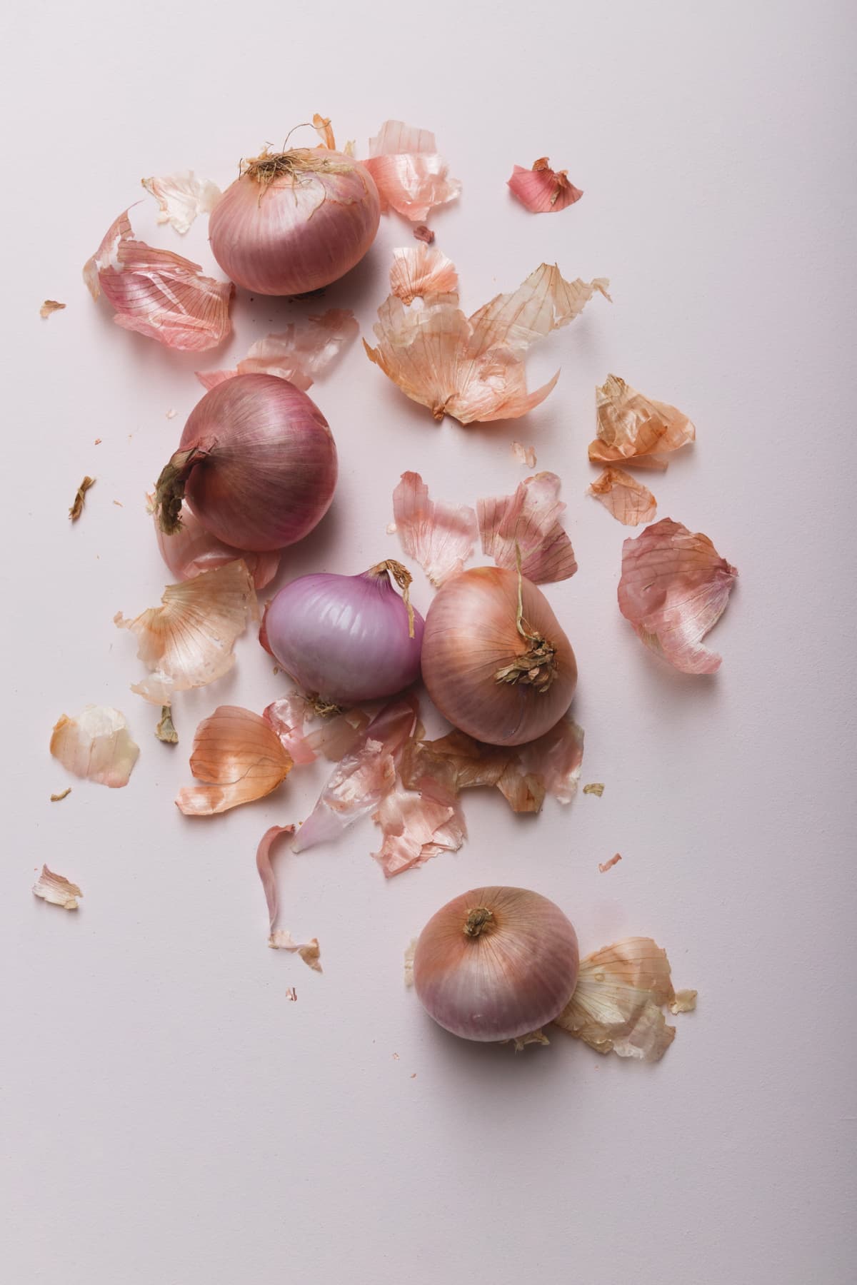 Many red onions, with onion peels on white background