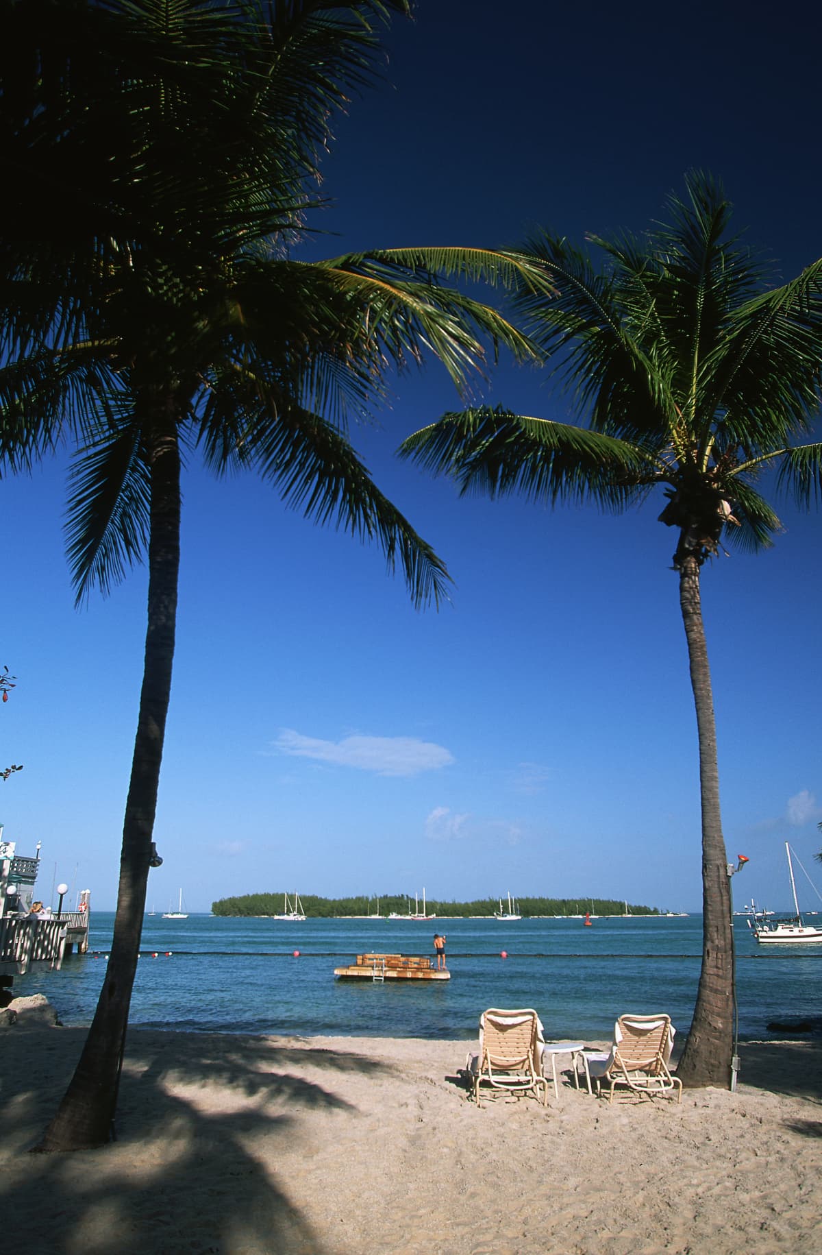 View of the ocean, two palm tress, and two loungers from a beach in Key West, Florida