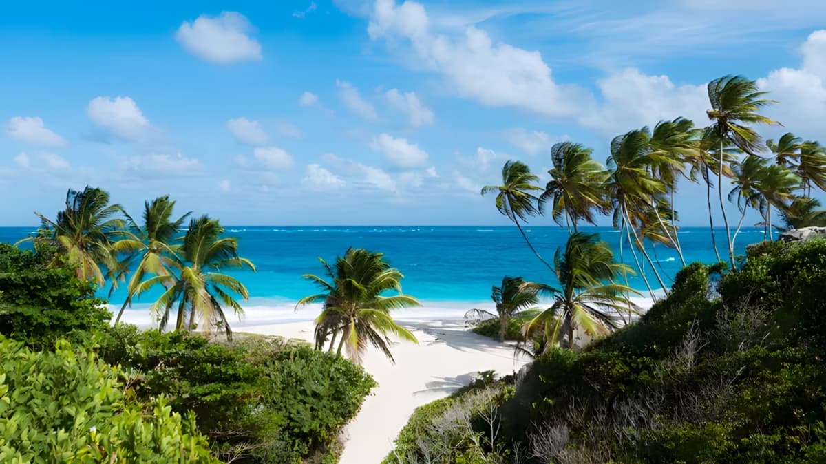 A view of the crystal blue Caribbean waters from a beach with many palm trees