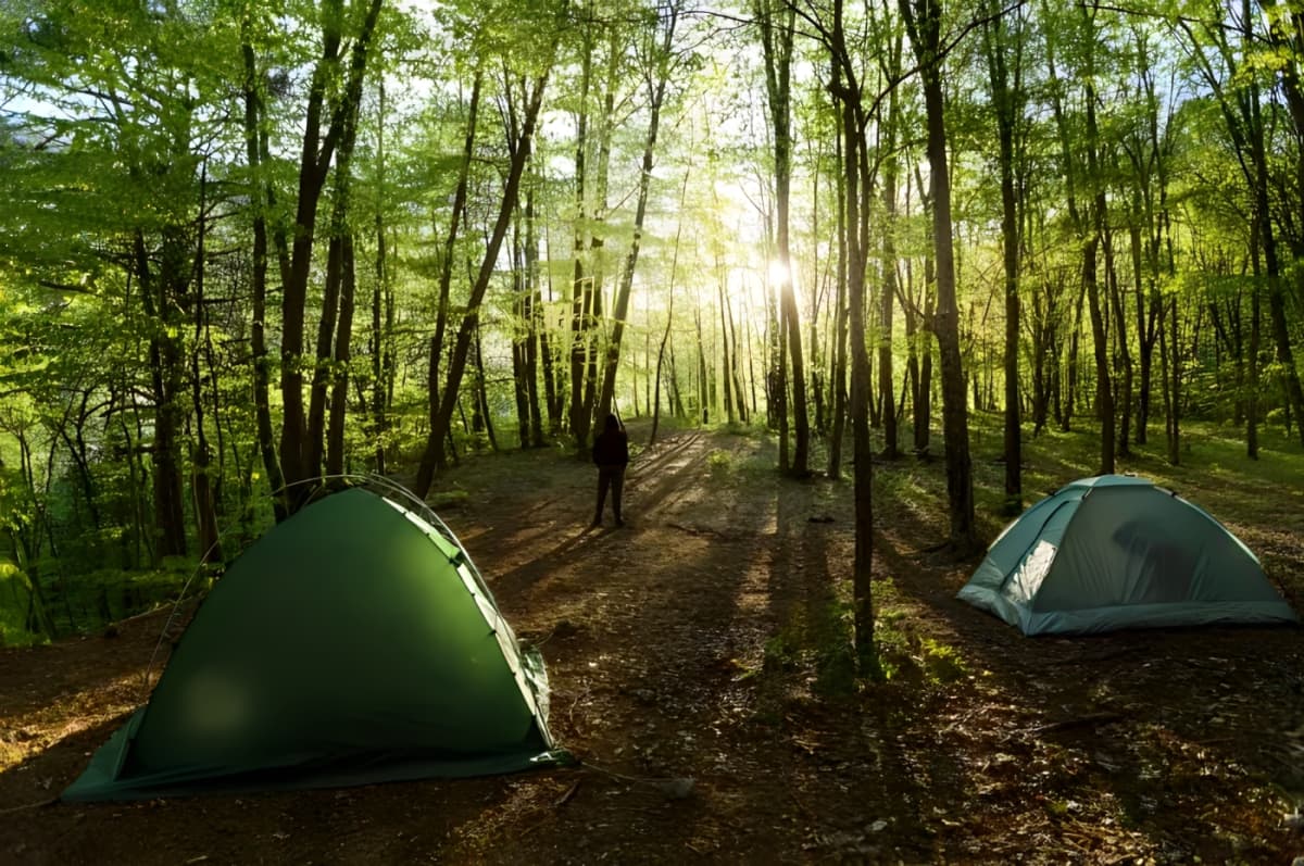 A green tent in the woods