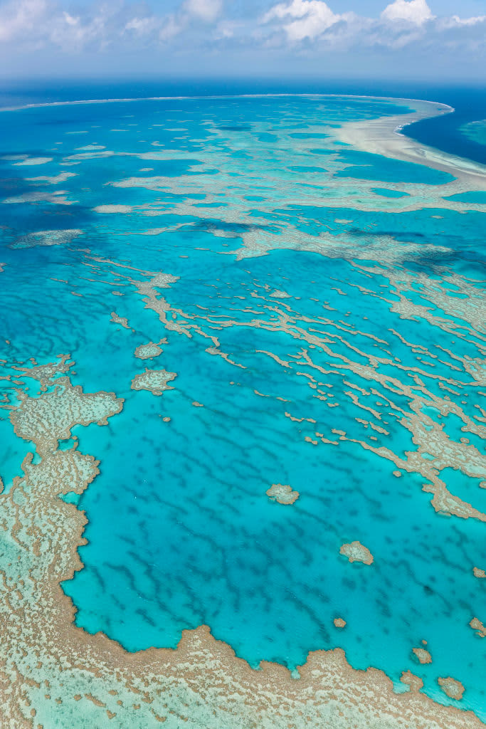 The great barrier reef in Australia