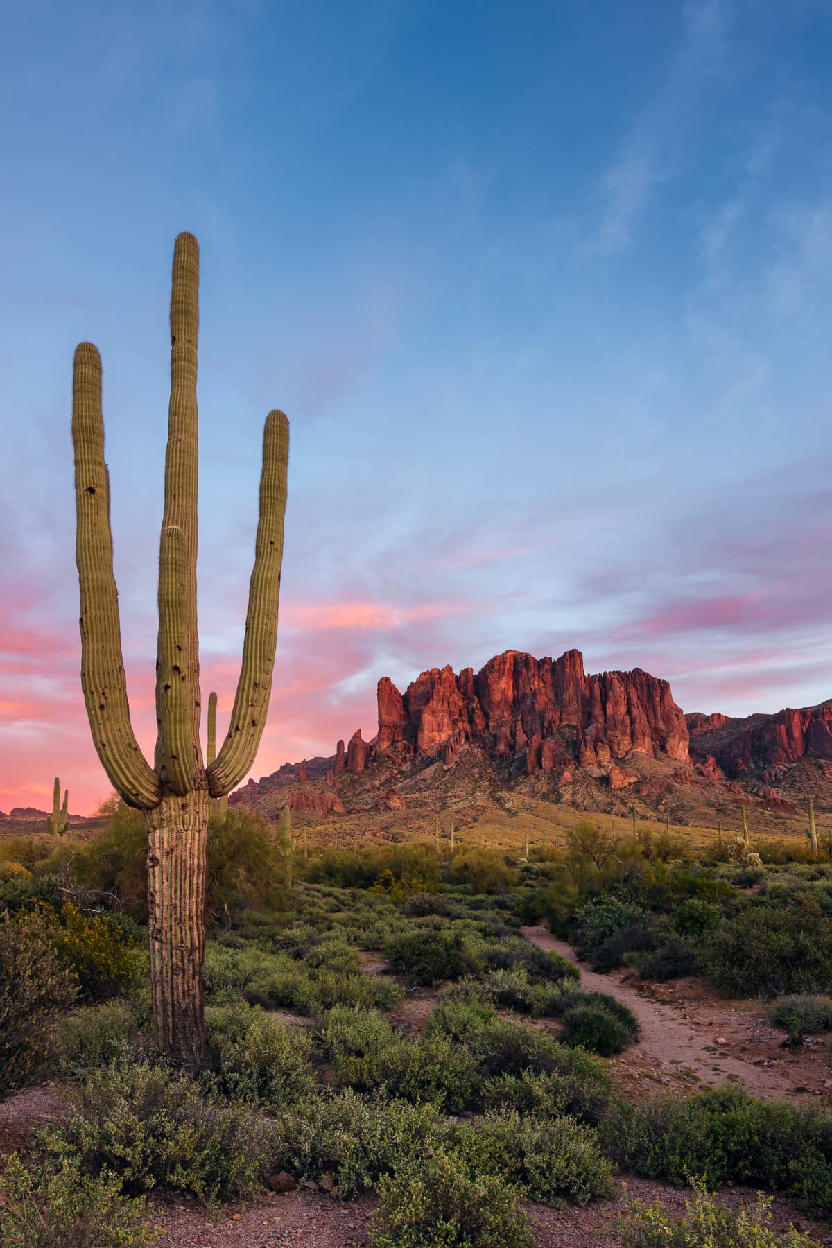 Scenic Sonoran Desert landscape at sunset in Arizona