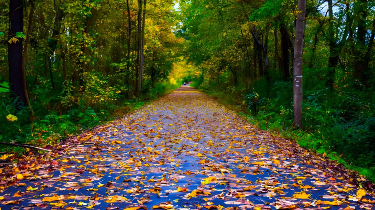 A paved biking trail covered in fall leaves