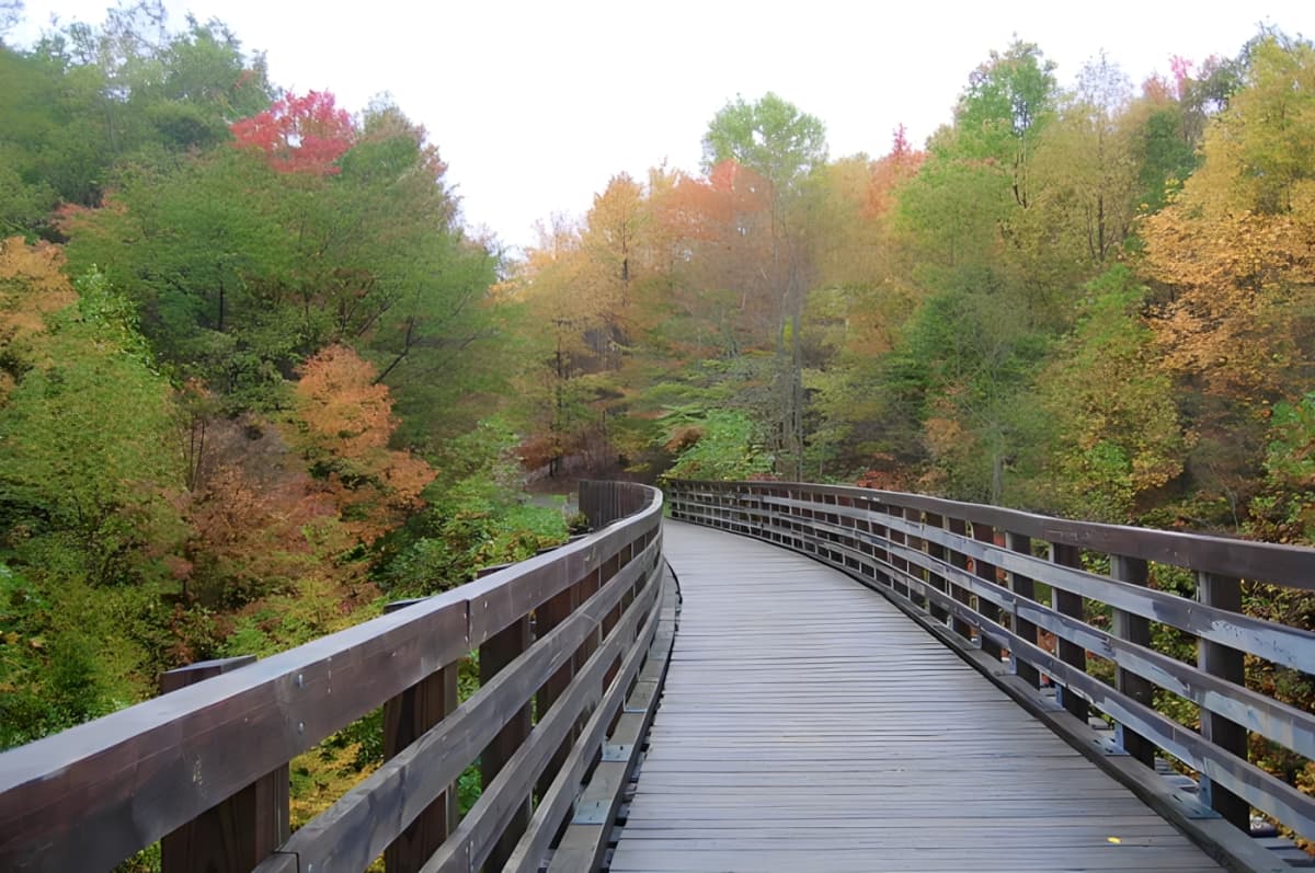 A wooden bridge along the Virginia Creeper Trail