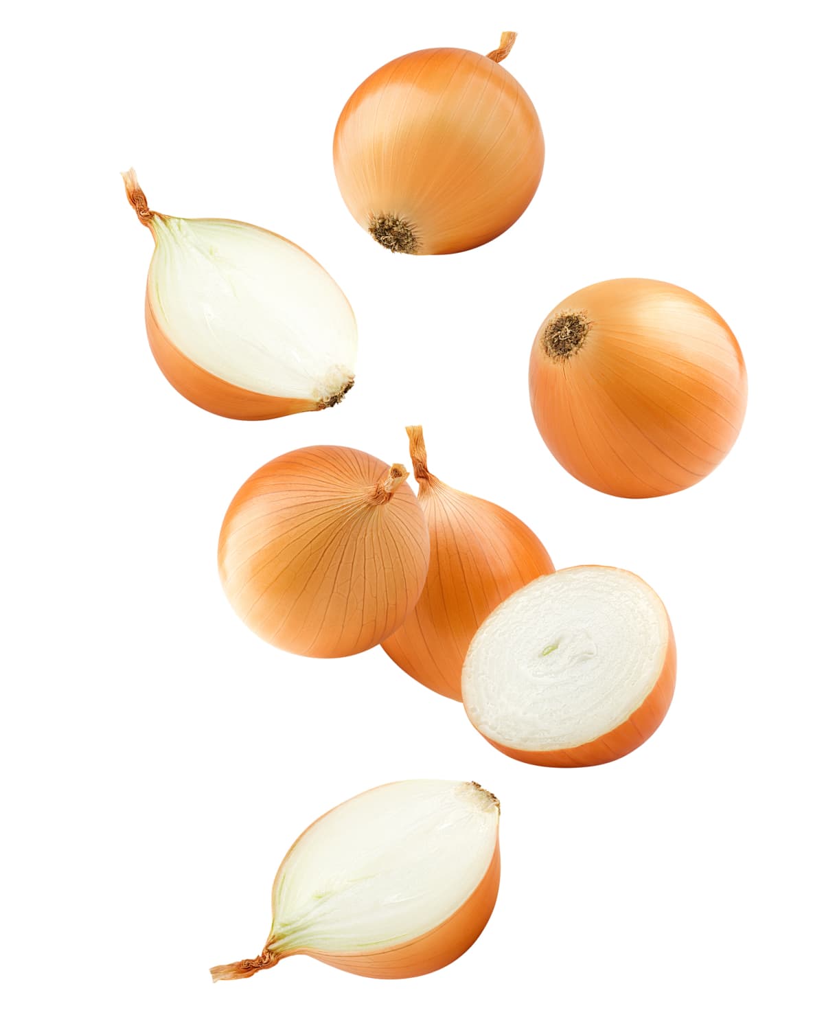 Raw onions on a white background