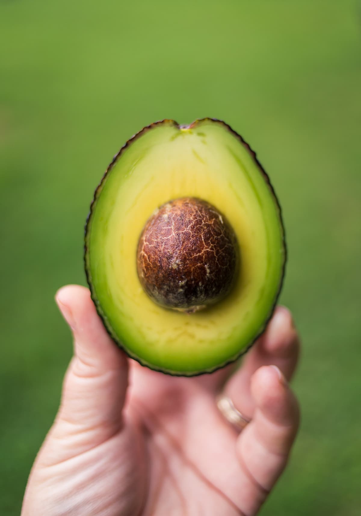 Hand holding an avocado half on a green background