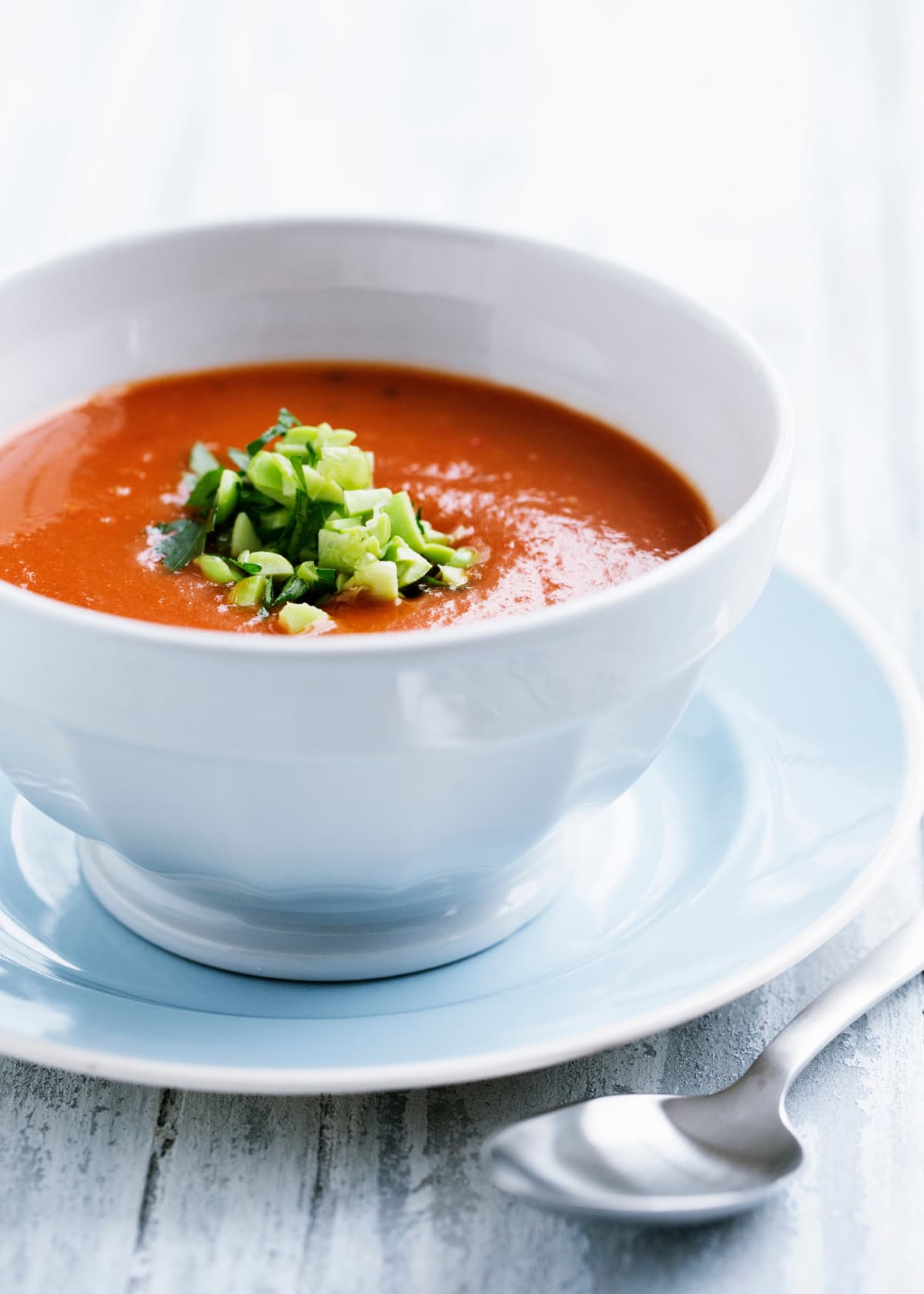 A bowl of tomato soup with a leek garnish