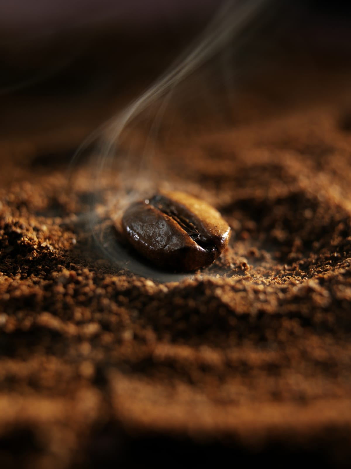 Hot coffee bean in a steam on coffee grounds.
