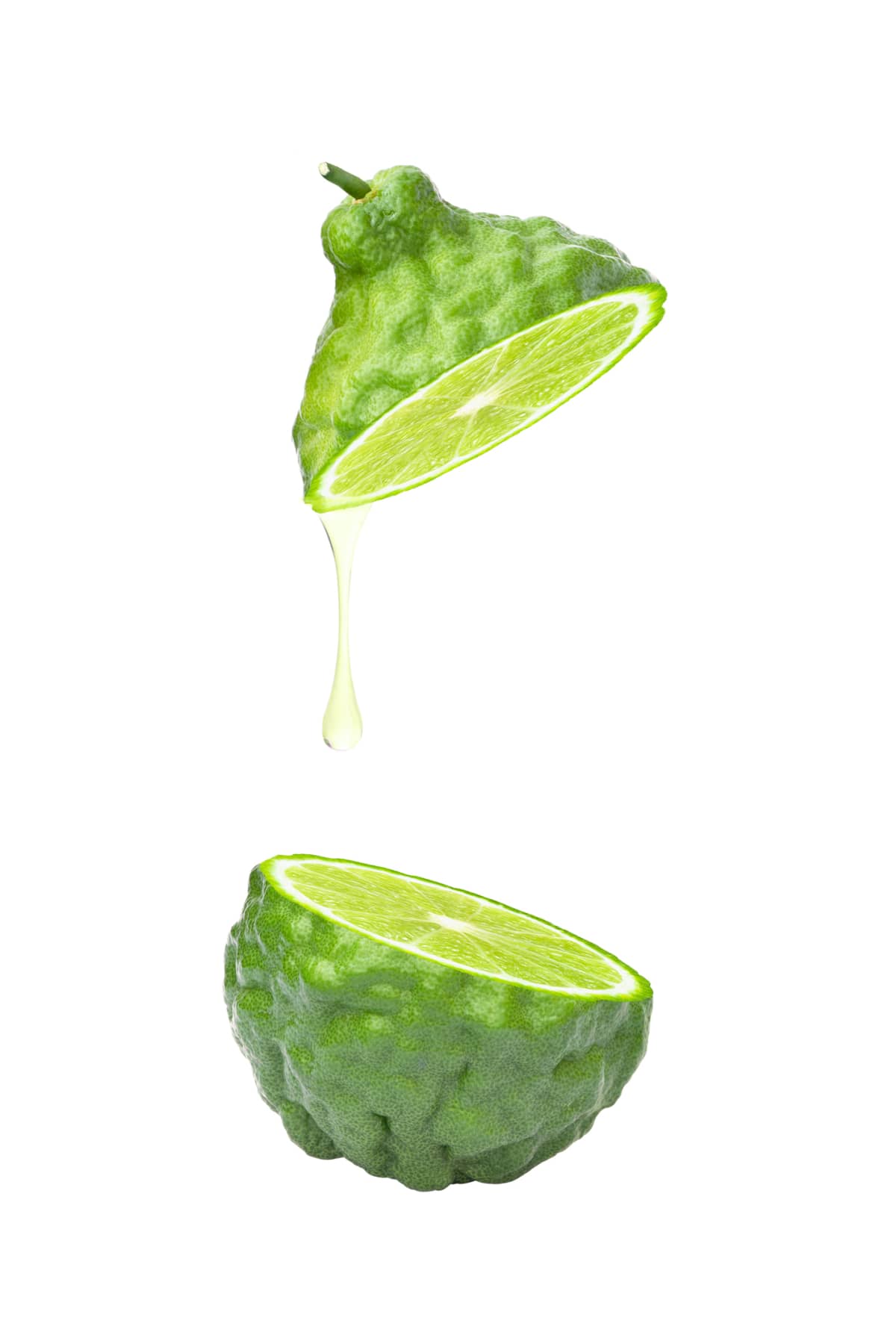 Bergamot essential oil extract drop dripping isolated on white background.