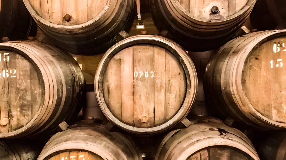 Whisky barrels in a cellar. 