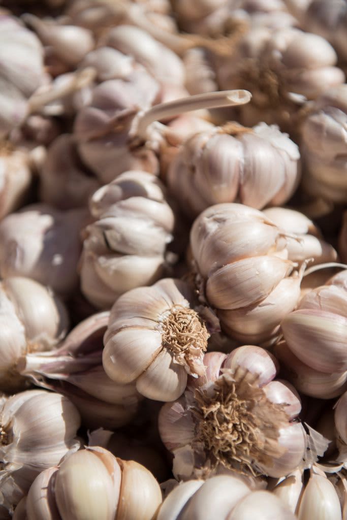 JAIPUR, INDIA - APRIL 09: Cloves of garlic are seen at the local markets in the walled city centre on April 9, 2010 in Jaipur, India. Jaipur which is the captial city of Rajasthan state is popularly known the Pink City. (Photo by Robert Cianflone/Getty Images)