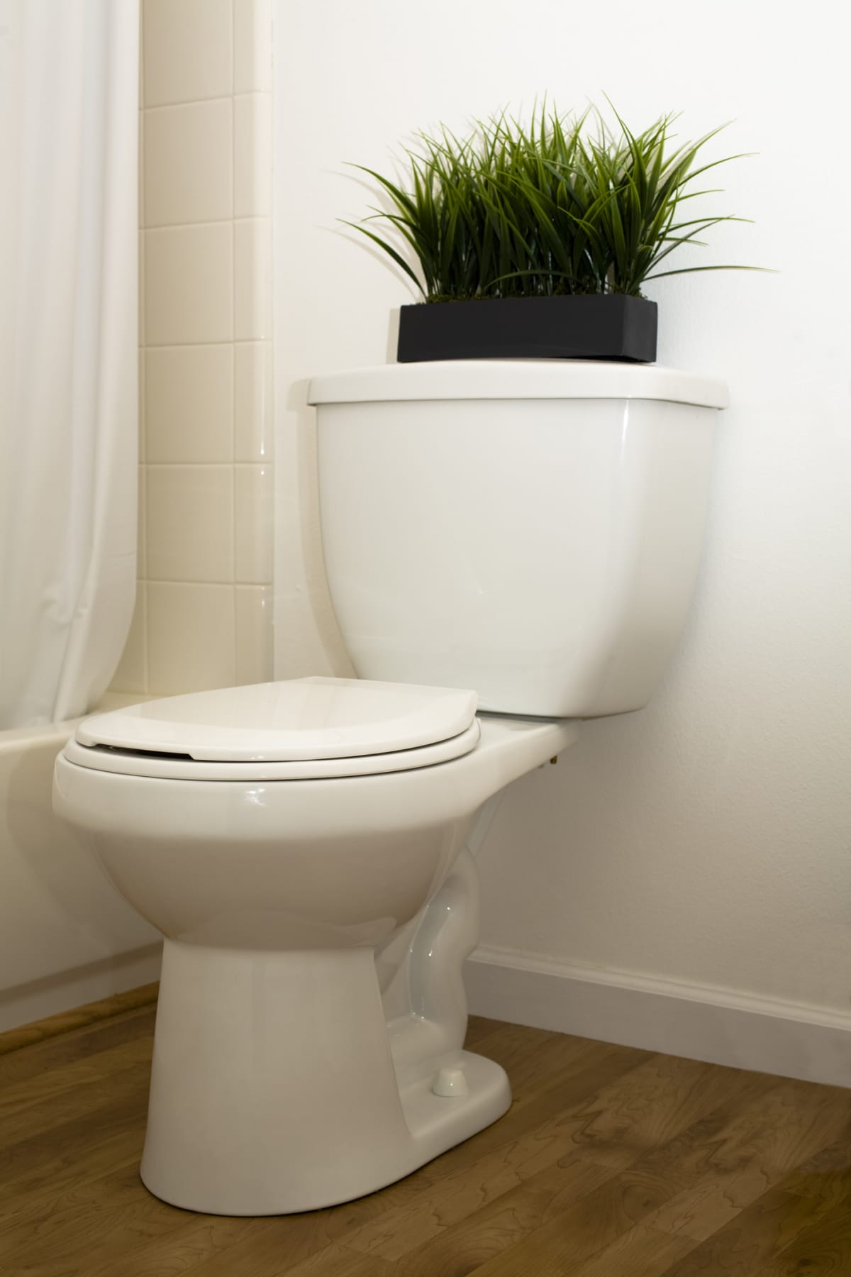 White bathroom fixtures with green plant on tank