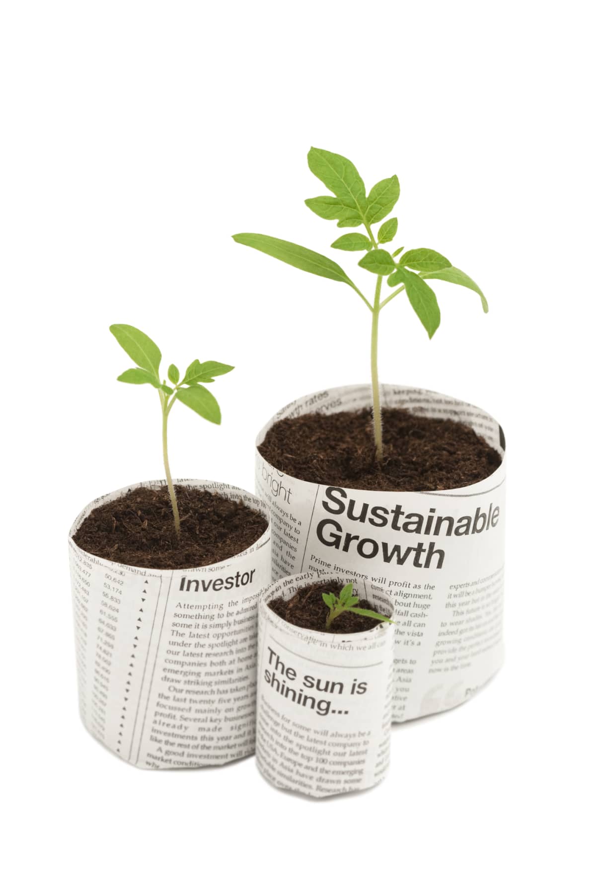 Two seedlings in newspaper plant pots against white background