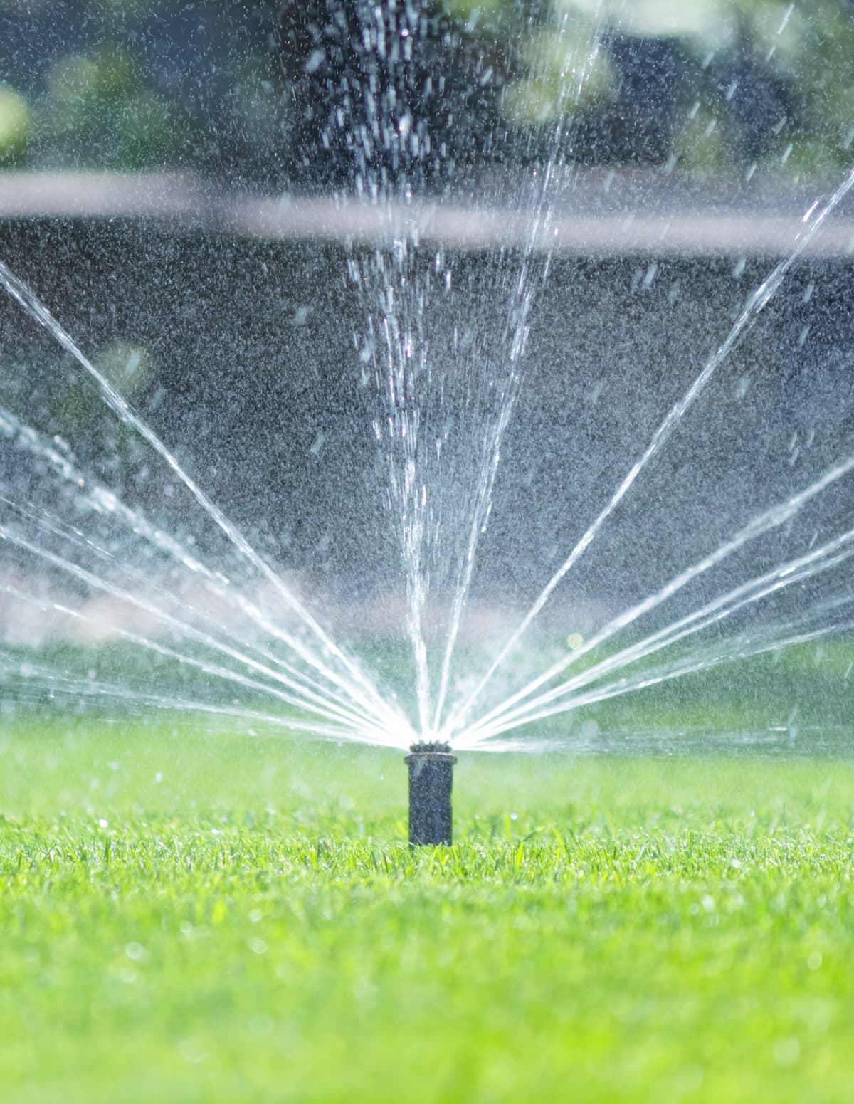A sprinkler showering water across a lush, green lawn