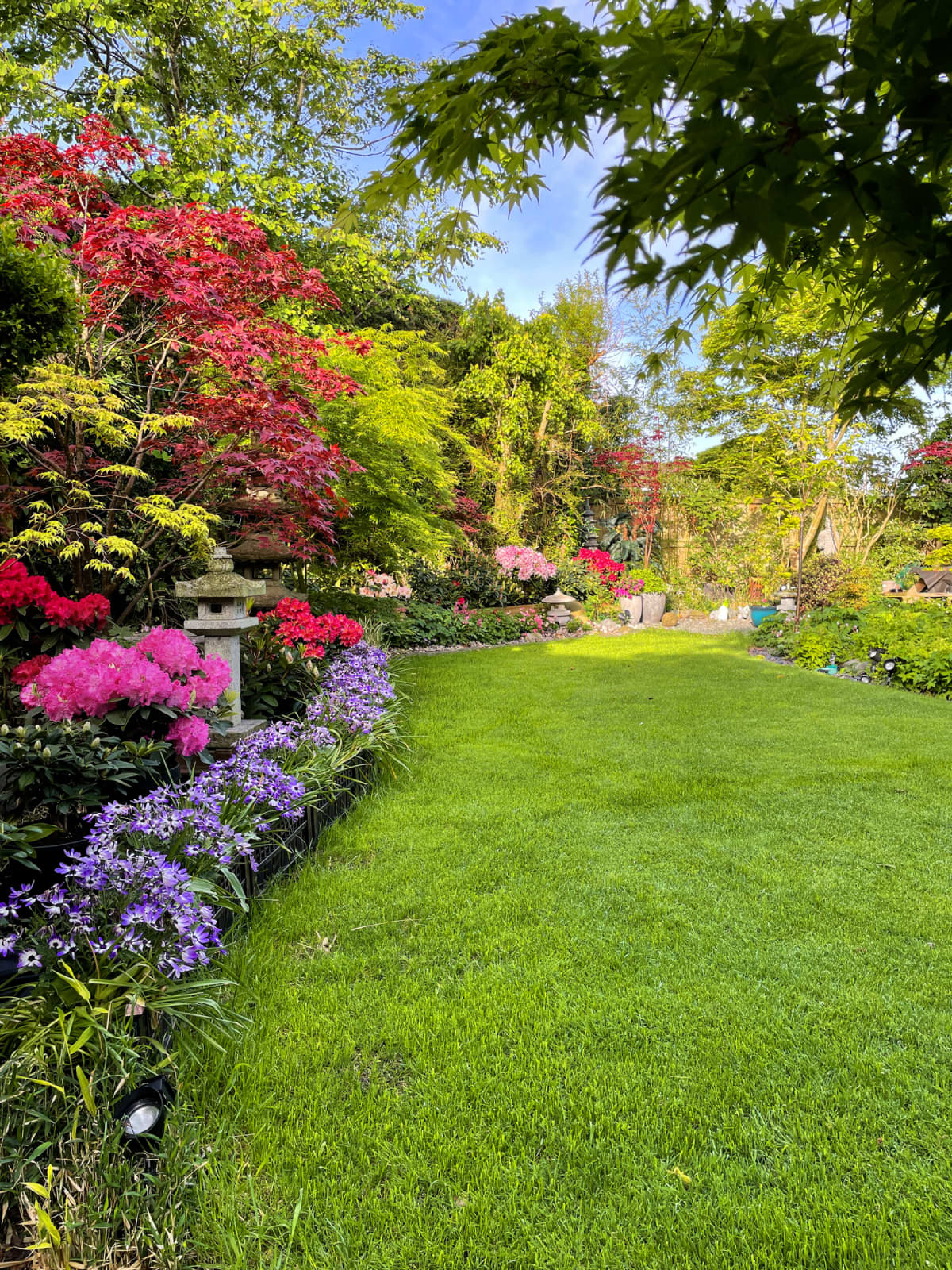 Beautiful lawn with flowers and fresh green grass
