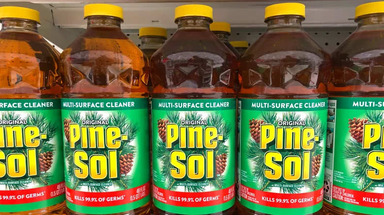 Pine-Sol Toilet Bowl Cleaner Brush with Holder