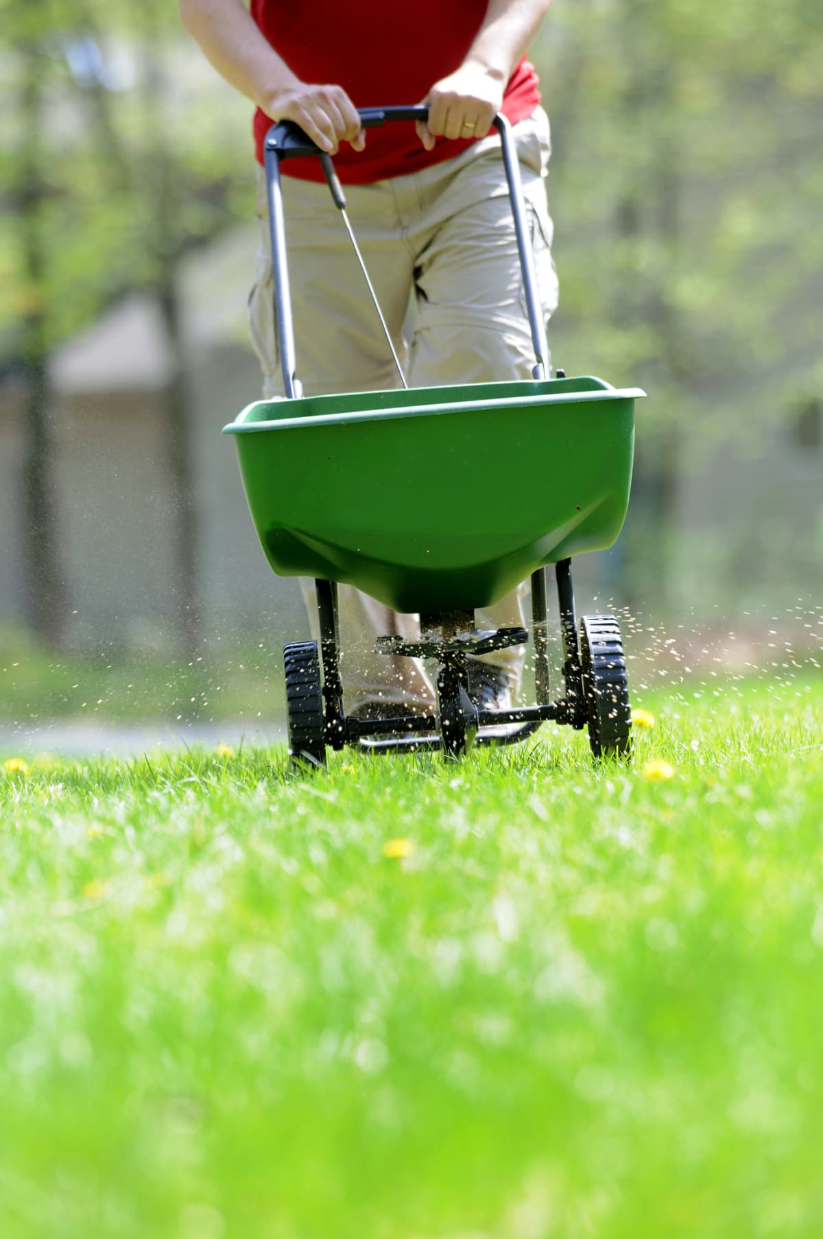 A man fertilizing a lawn with a spreader