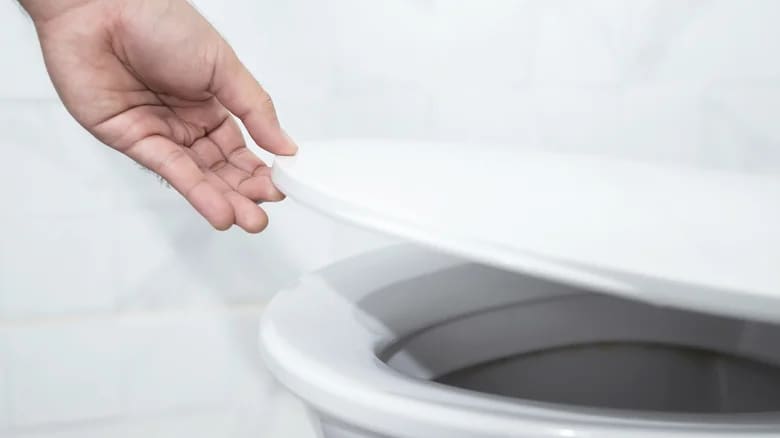 Why You'll Want To Use Windex In Your Toilet Bowl