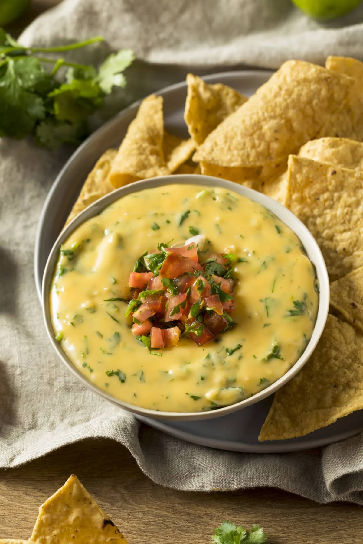 Veggie packed queso with tortilla chips