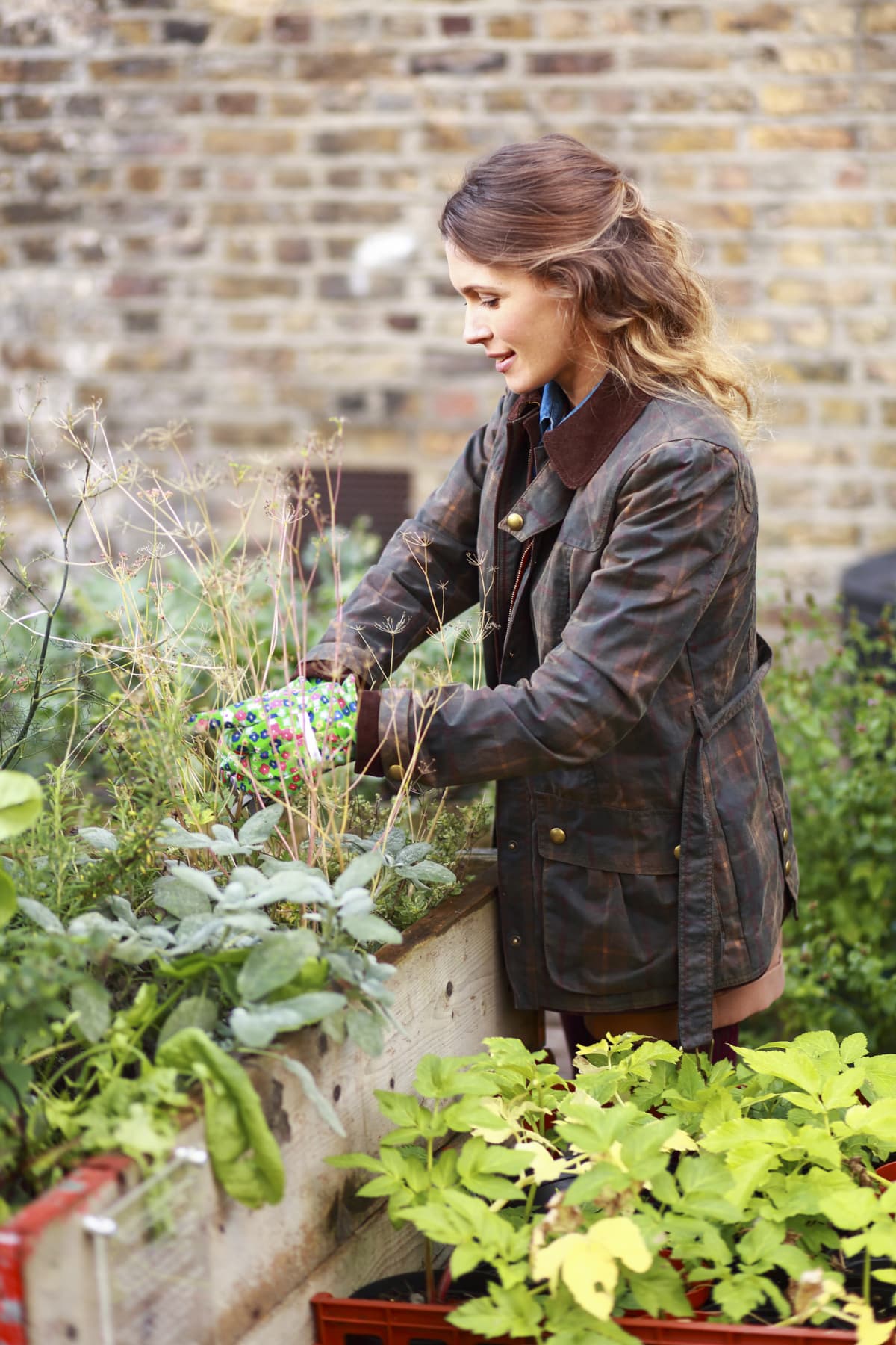 Young woman potting plants in her city garden.