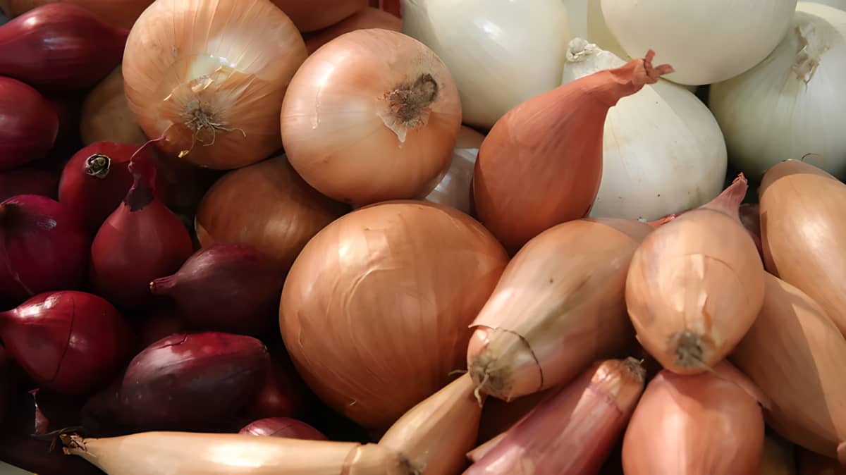 Variety of onions and shallots.
