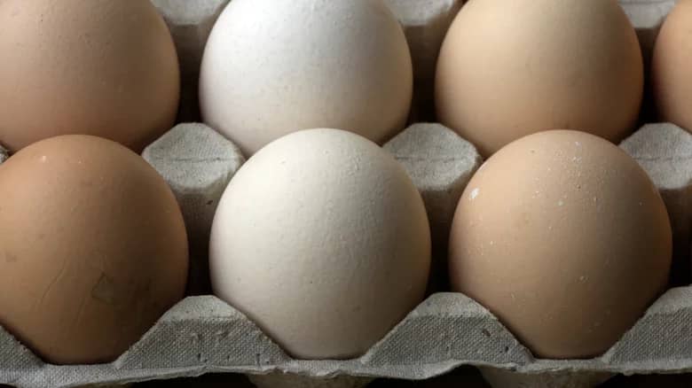 Safari Ostrich Farm  Nutritional facts of ostrich eggs vs chicken eggs