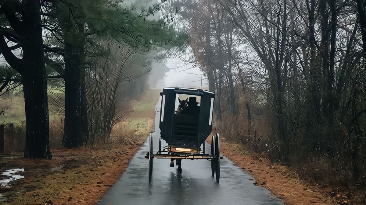 Amish or Mennonite driving buggy down road in the rain