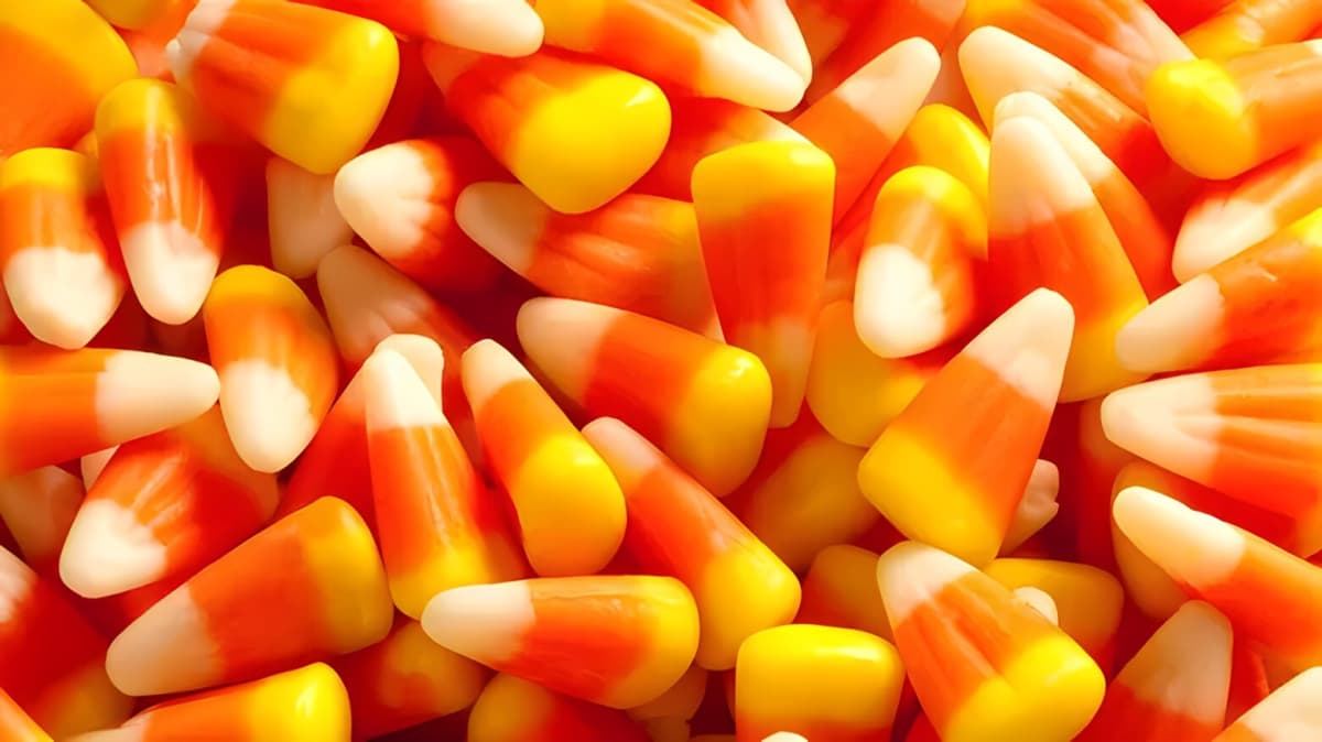 Close-up of candy corn.