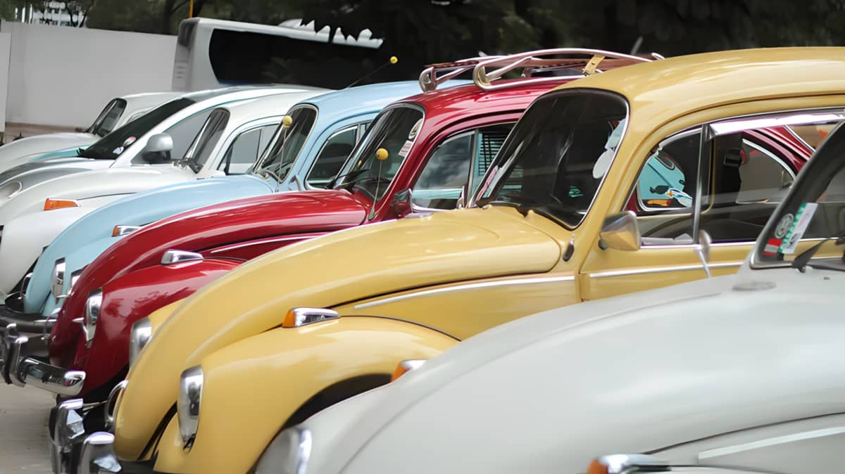 A row of Volkswagen Beetles