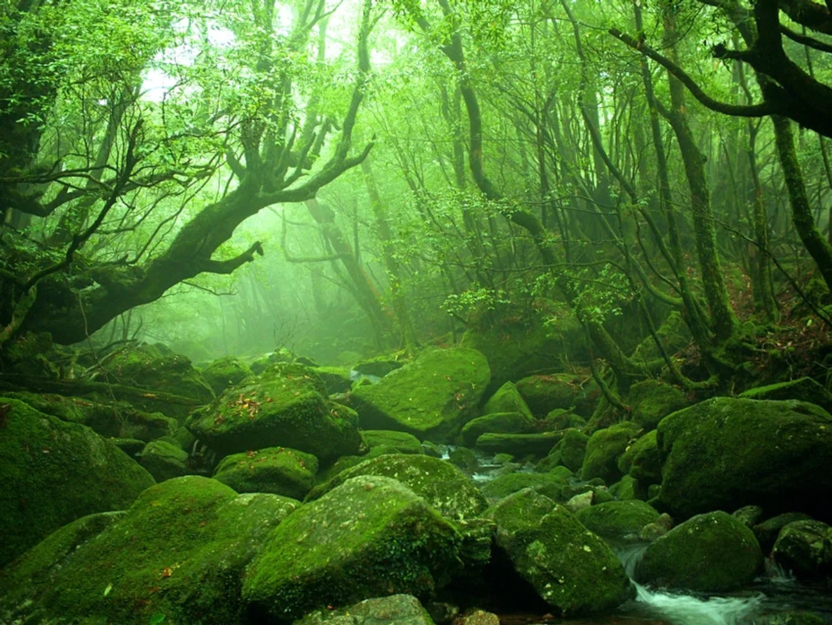 Japan's most spectacular natural wonders