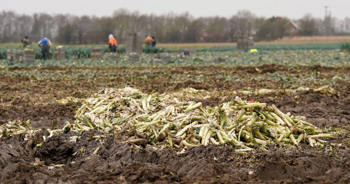 Which UK foods are at risk as extreme weather causes havoc with global ...